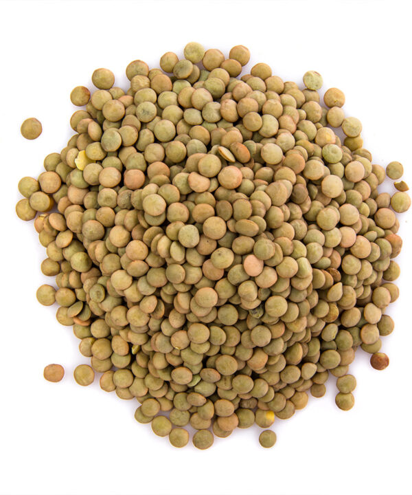 Germinado de Lenteja ECO, 1 kg