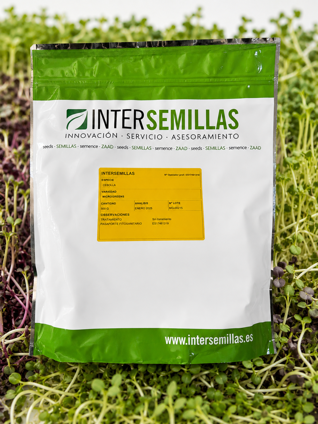 Germinado de Cebolla, 500 g (INTERSEMILLAS)