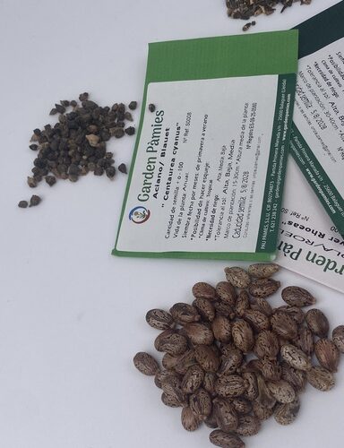 Pack 20 Semillas Alimentarias 1