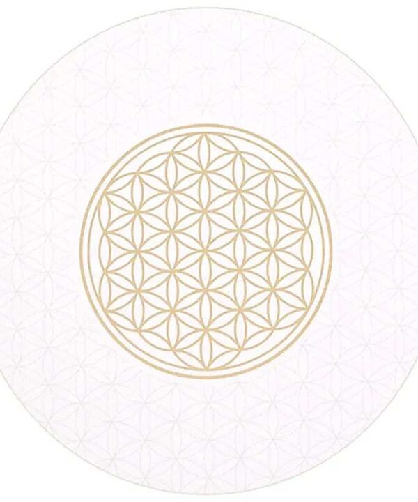 6 Posavasos Flor de la Vida